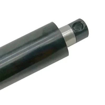Original HAYMUNSTER IP 66 Linearantrieb