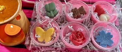 Variety Wax Melts
