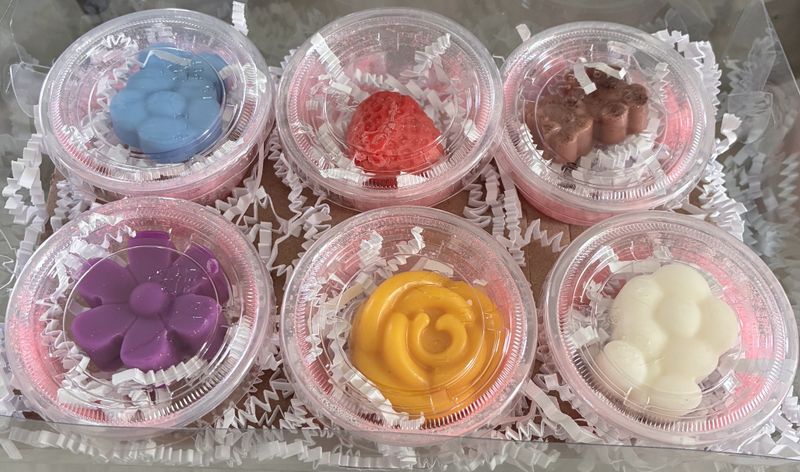 Wax Melt Variety Pack