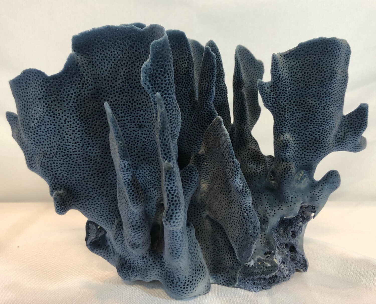 Blue Coral Specimen 7-10
