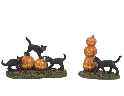 Department 56 Halloween Village "Scary Cats & Pumpkins" Figurine Set of 2 (6012285)