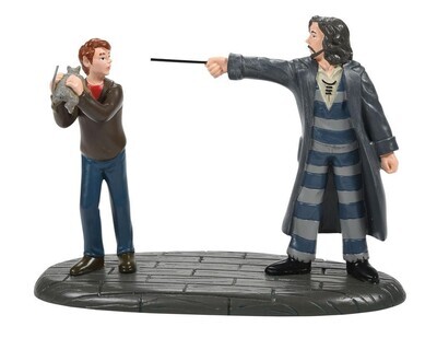 Department 56​ ​Harry Potter Series "Come Out and Play, Peter!" Figurine (6007756)