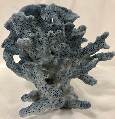 Authentic Blue Coral Specimen 7-10