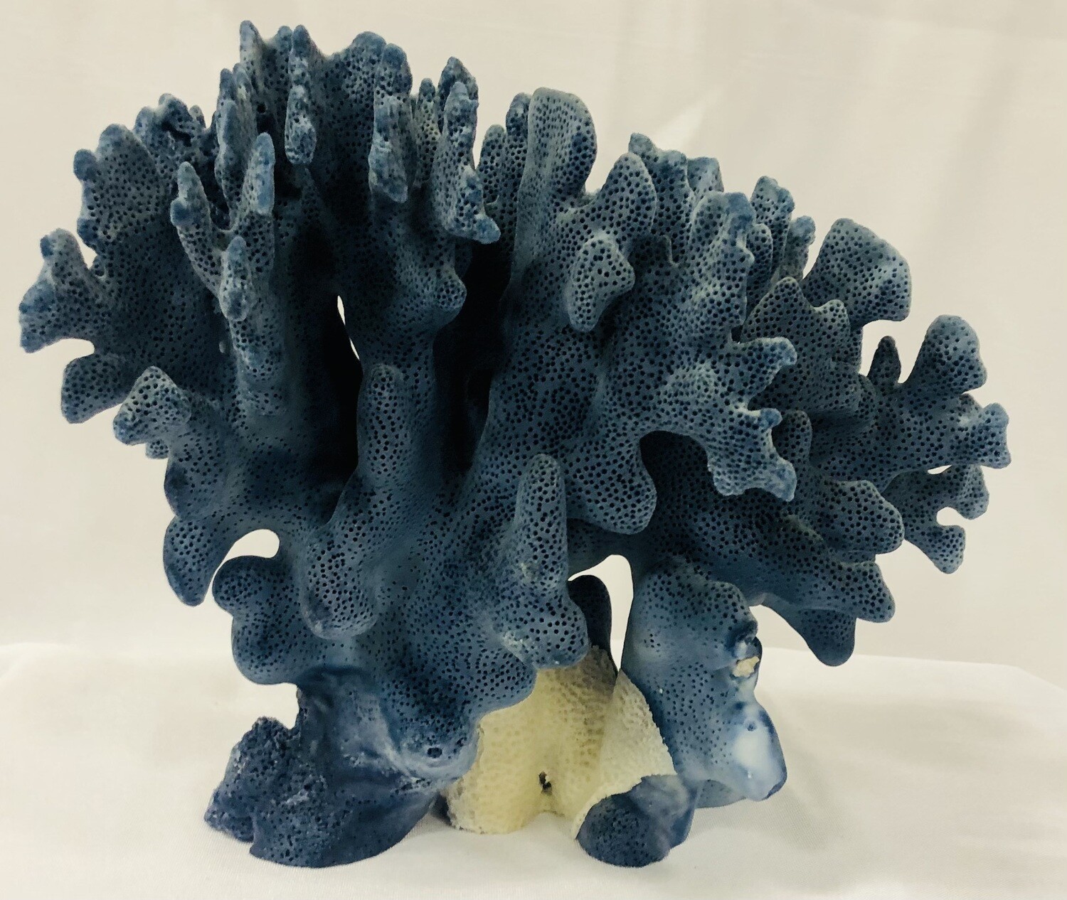 Large Blue Nautical Natural Coastal Ocean Coral Specimen
