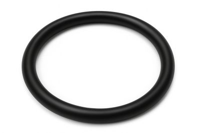 O-Ring 15.0 x 1.5mm schwarz (5x)