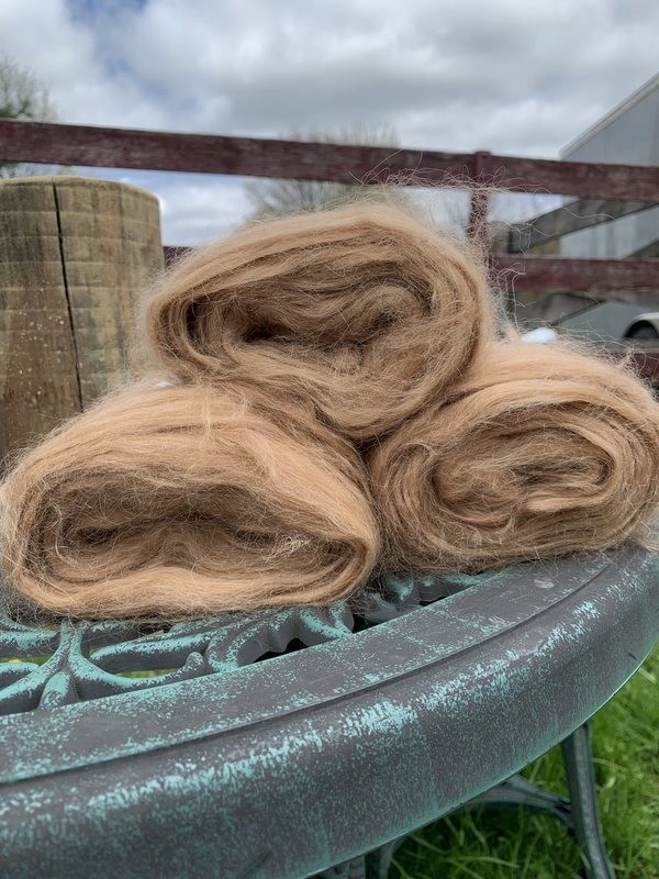 Suri Alpaca Roving - Medium Fawn