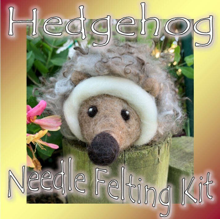 Hedgehog Needle Felting Kit