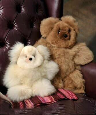 Teddy Bears and Alpacas
