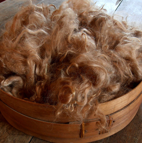 Suri Alpaca Fiber, 4 Inches, Medium Fawn, Suri Alpaca Fiber, 4 Inches, Medium Fawn,