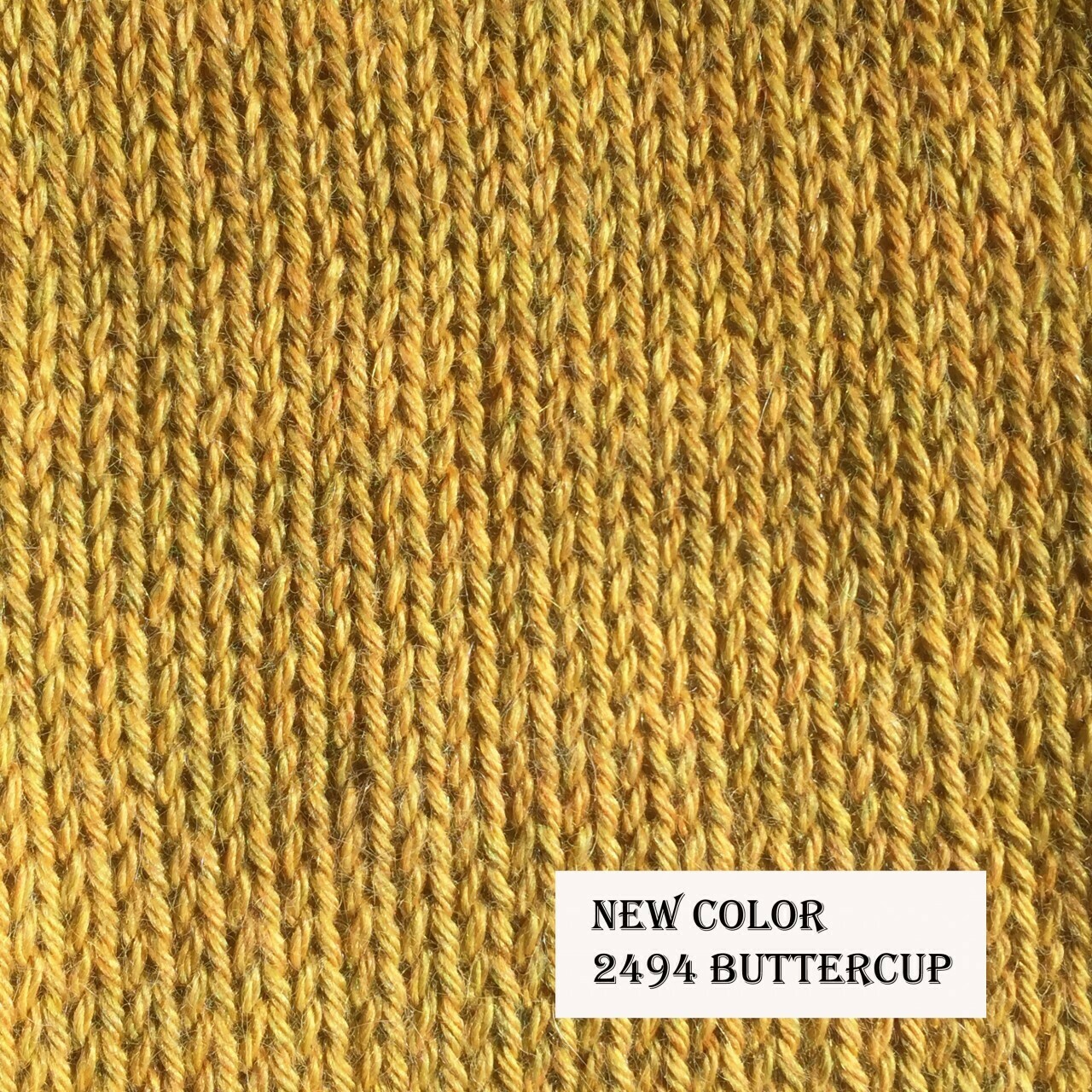 Classic Baby Alpaca - Buttercup
