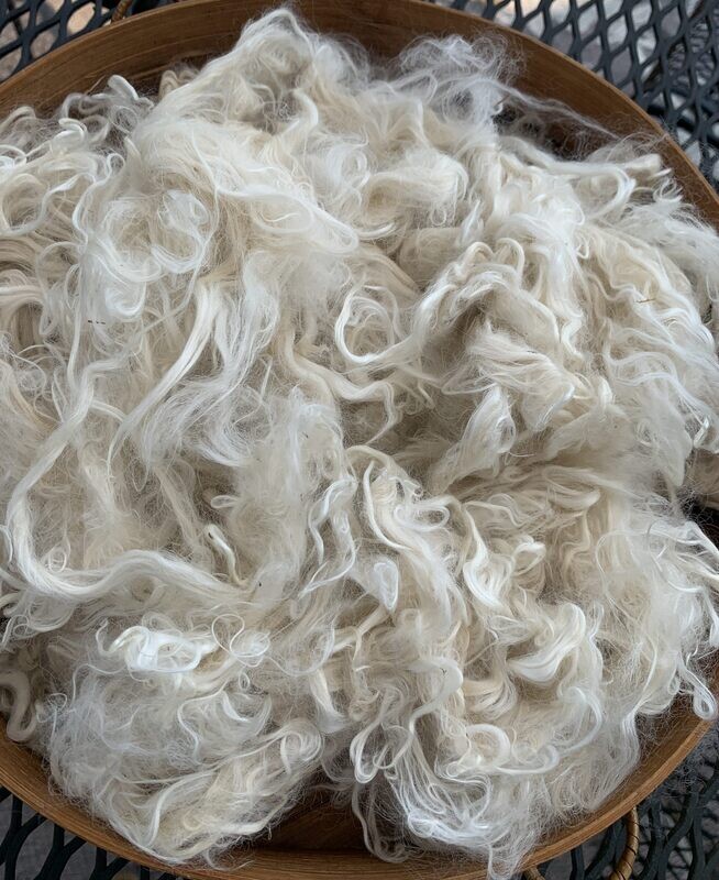 Suri Alpaca Fiber, 5 Inches, White, Fancy