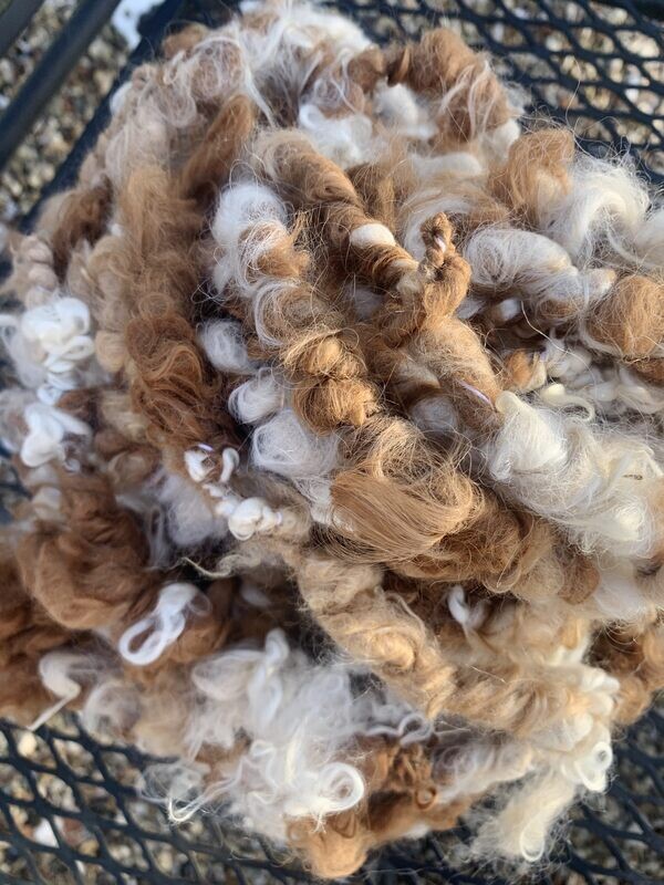 Suri Mohair Art Yarn - Cappuccino