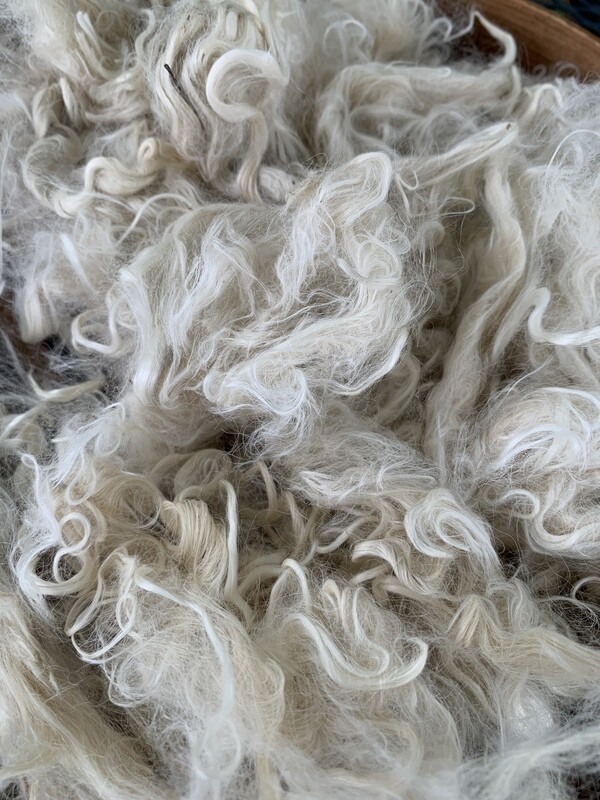 Suri Alpaca Fiber, 5 Inches, White, Hope