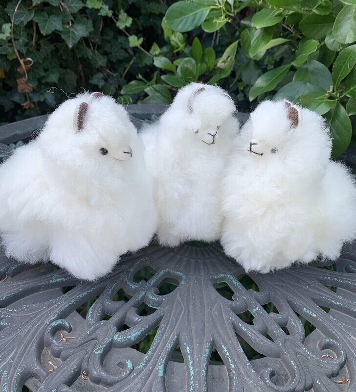 Tiny Alpacas
