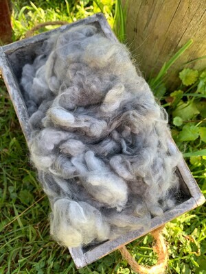 Silver Grey Angora Wool