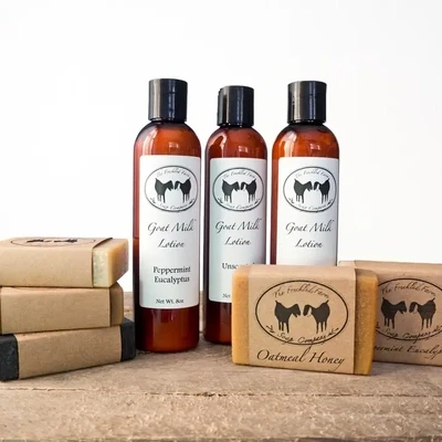 Goat's Milk Soap and Lotion