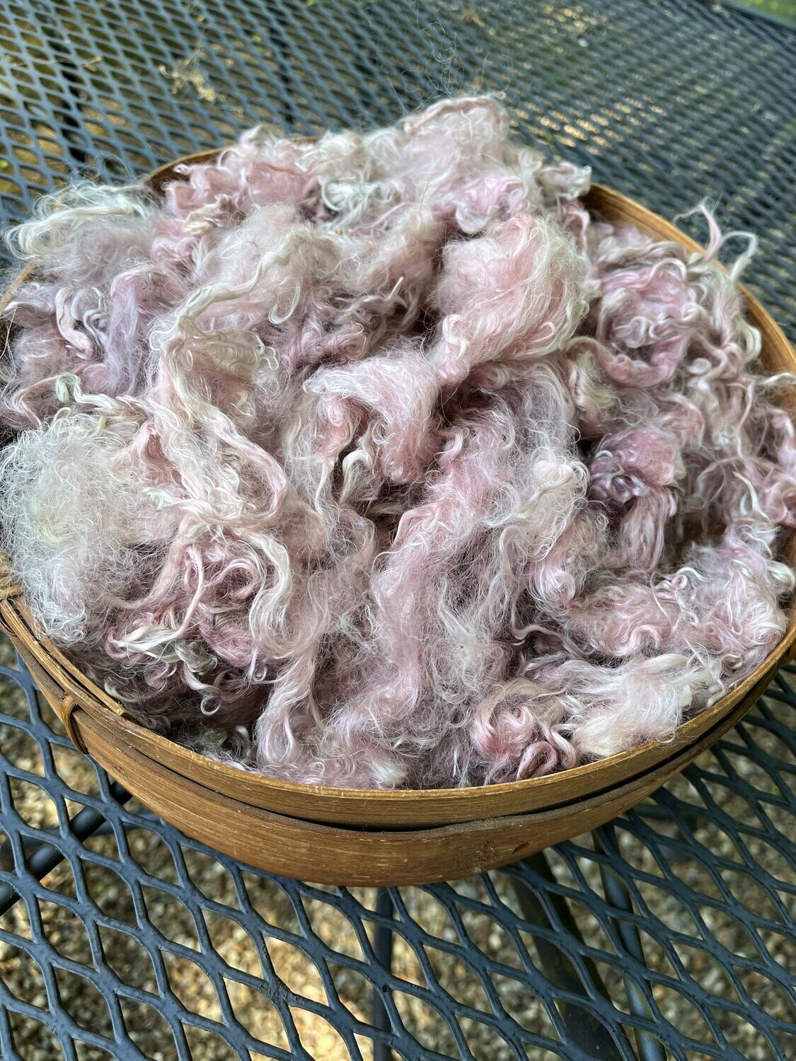 Suri Alpaca Fiber, 5 Inches, Stringybark