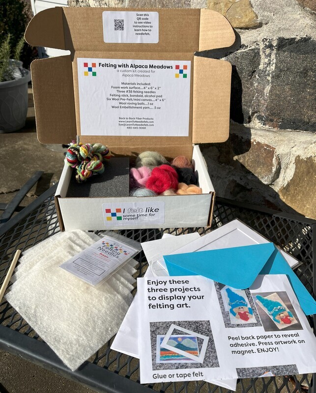 Needle Felting Starter Kit