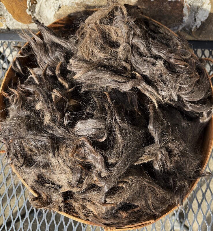 Suri Alpaca Neck Fiber, Dark Silver Grey