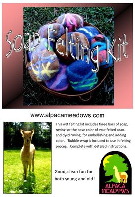 Soap Felting Kit