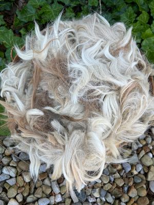 Suri Alpaca Neck Fiber, Beige with Light Fawn, Lorelei