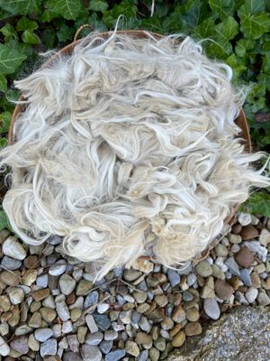 Suri Alpaca Neck Fiber, White, Hope