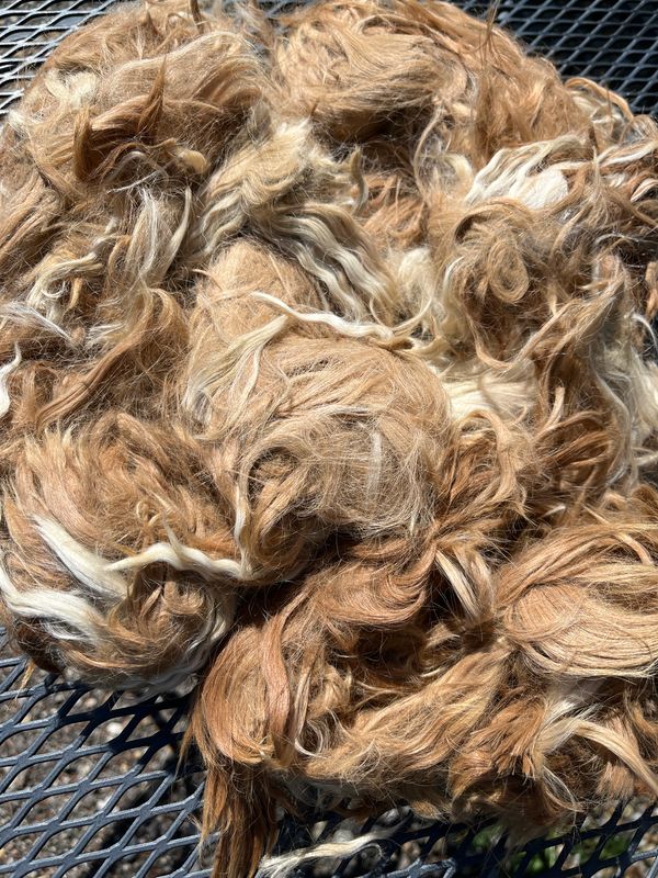 Suri Alpaca Fiber, 5 Inches, Dark Fawn, Martha