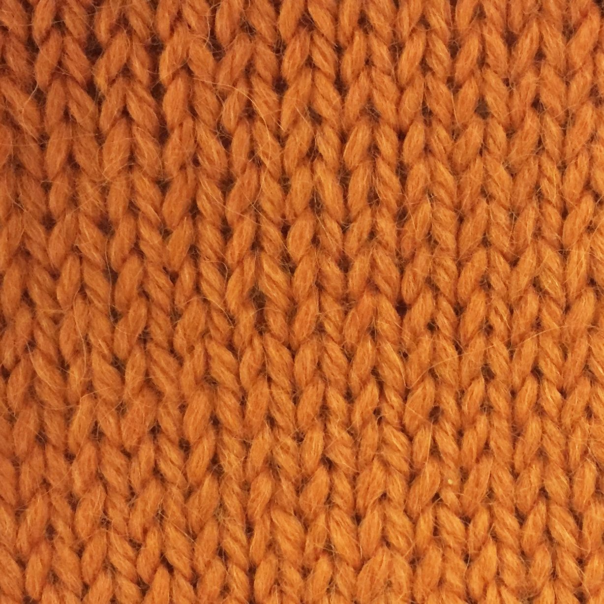 Snuggle Yarn - Zest
