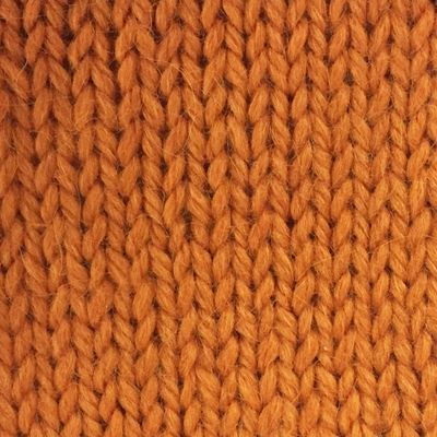 Snuggle Yarn - Zest