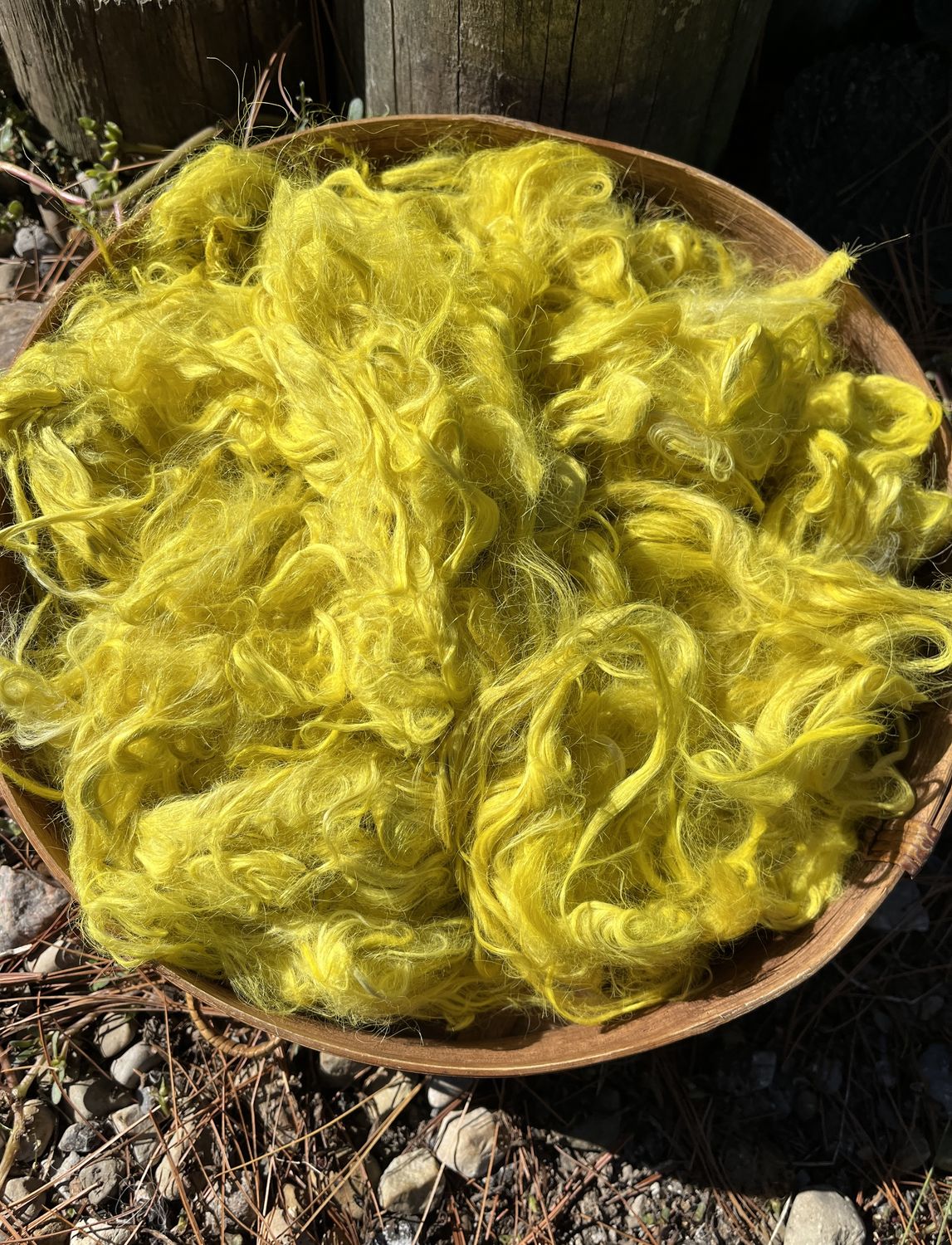 Suri Alpaca Fiber, 4 Inches, Daisy