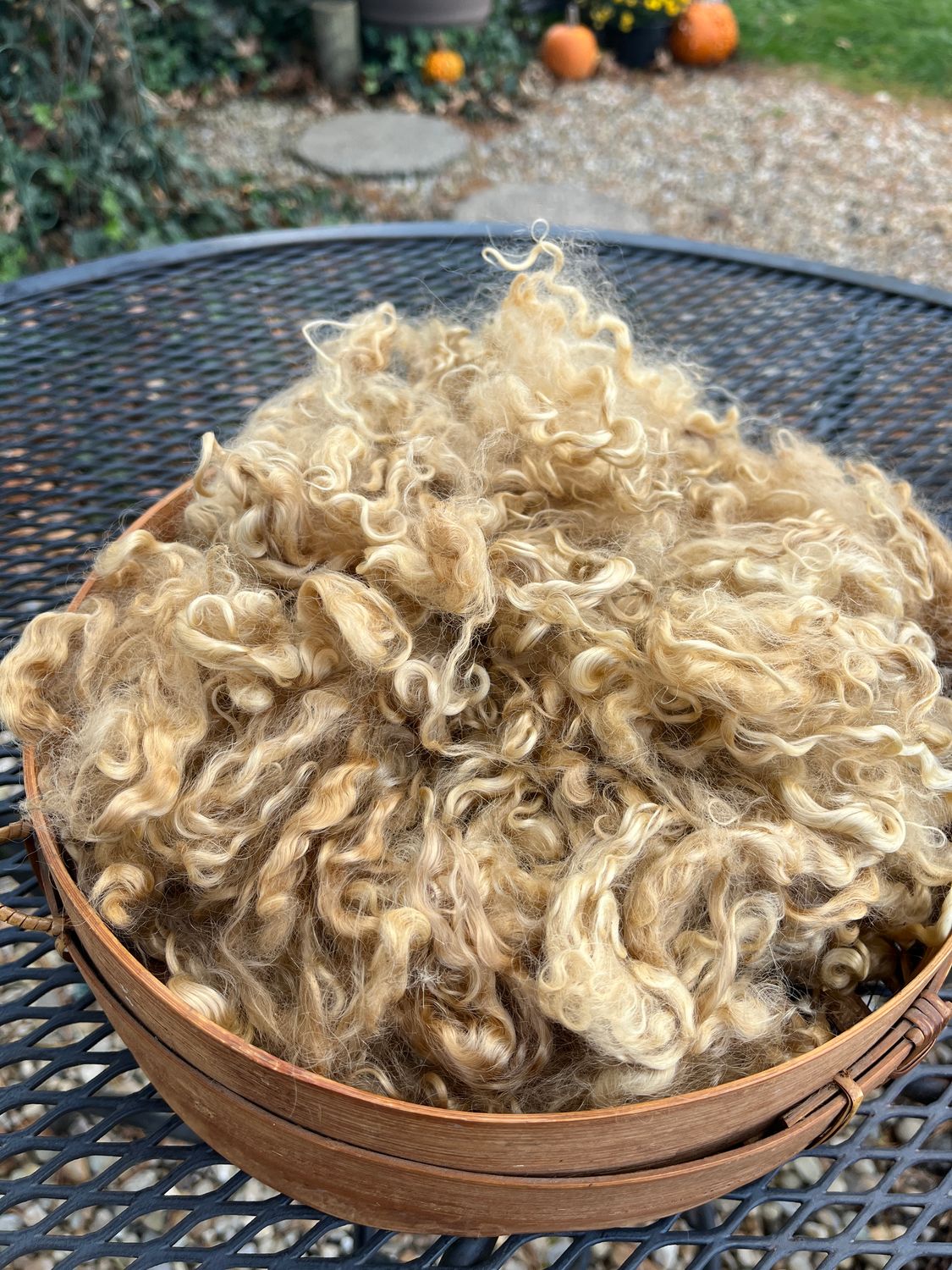 Mohair, 5 Inches, Paw Paw