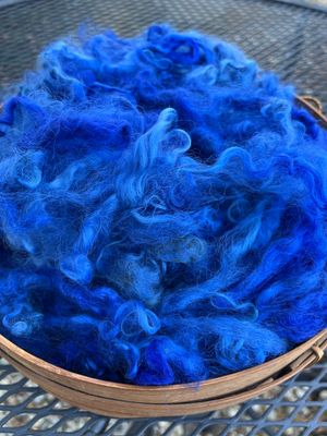 Mohair, 5 Inches, Blueberry