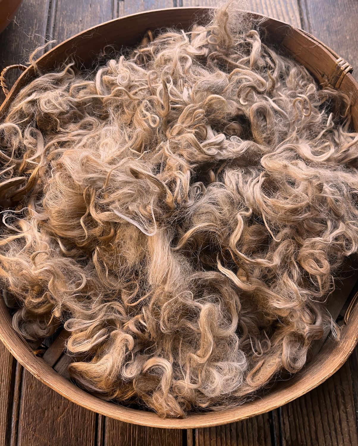 Suri Alpaca Fiber, 2-4 Inches, Light Fawn, Savannah