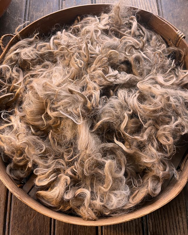 Suri Alpaca Fiber, 2-4 Inches, Light Fawn, Savannah