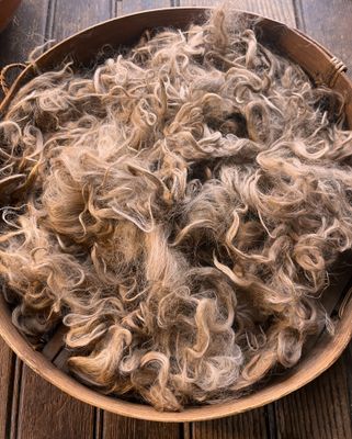 Suri Alpaca Fiber, 2-4 Inches, Light Fawn, Savannah