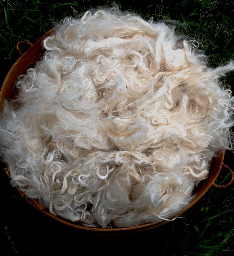 Suri Alpaca Fiber, 5 Inches, White Alpaca, 2 Ounces, Alvira