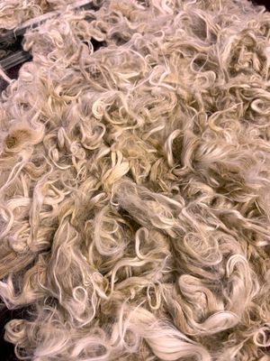 Suri Alpaca Fiber, 5 Inches, Beige with Light Fawn, Gemma