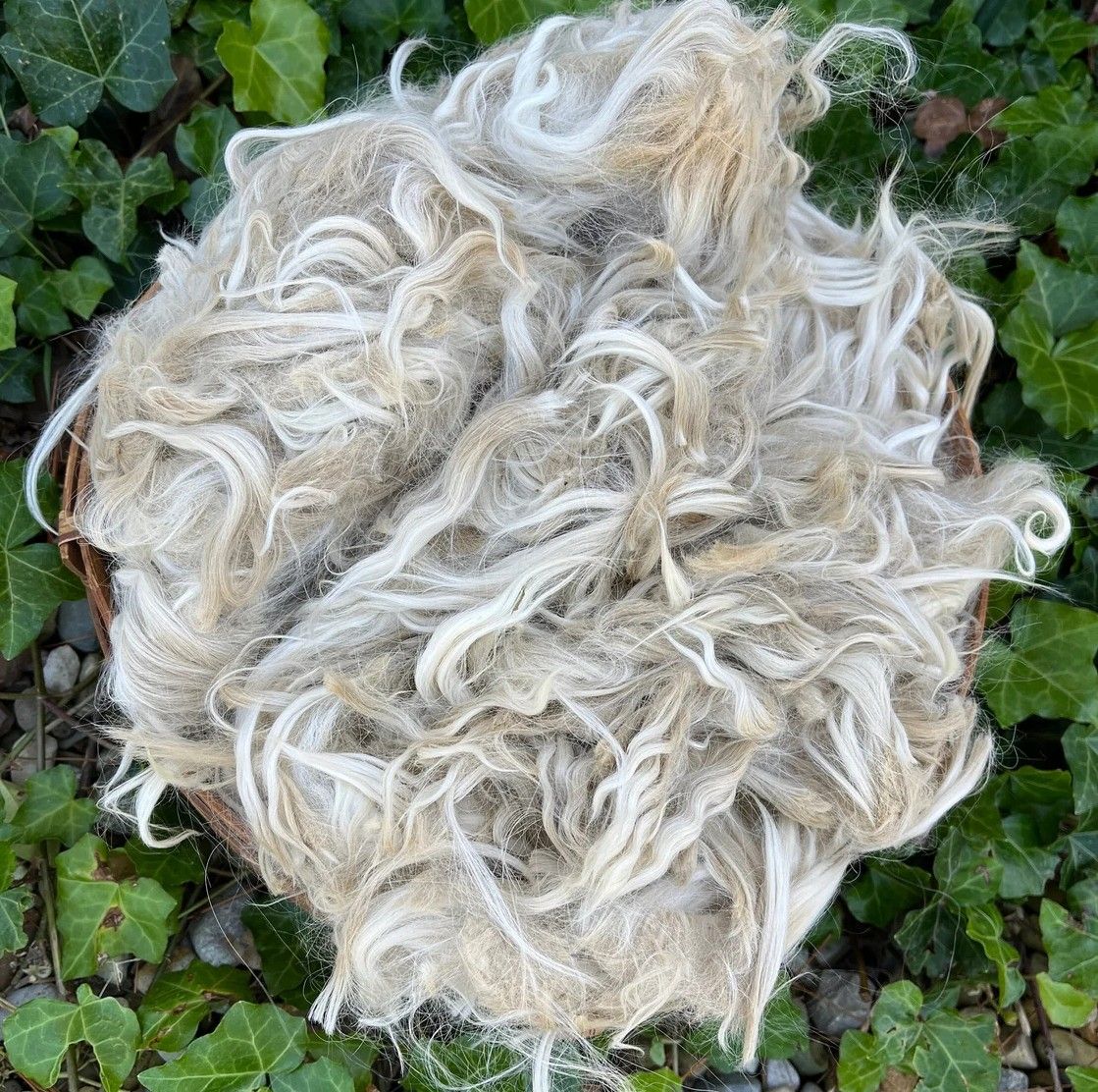 Suri Alpaca Fiber, 4 Inches, White, Miss Miami