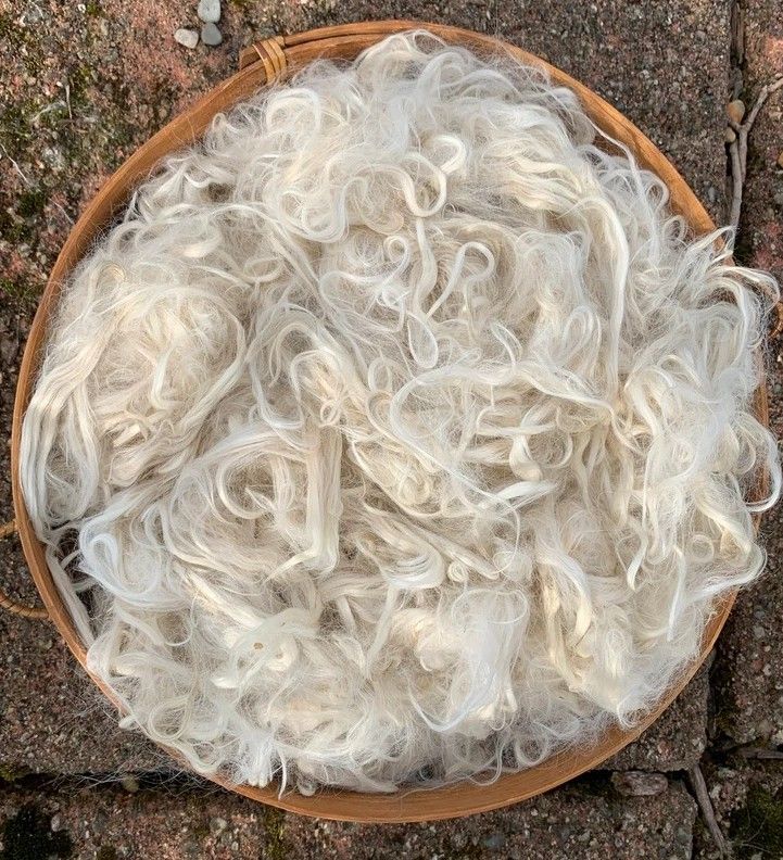 Suri Alpaca Fiber, 5 Inches, White, Luminous