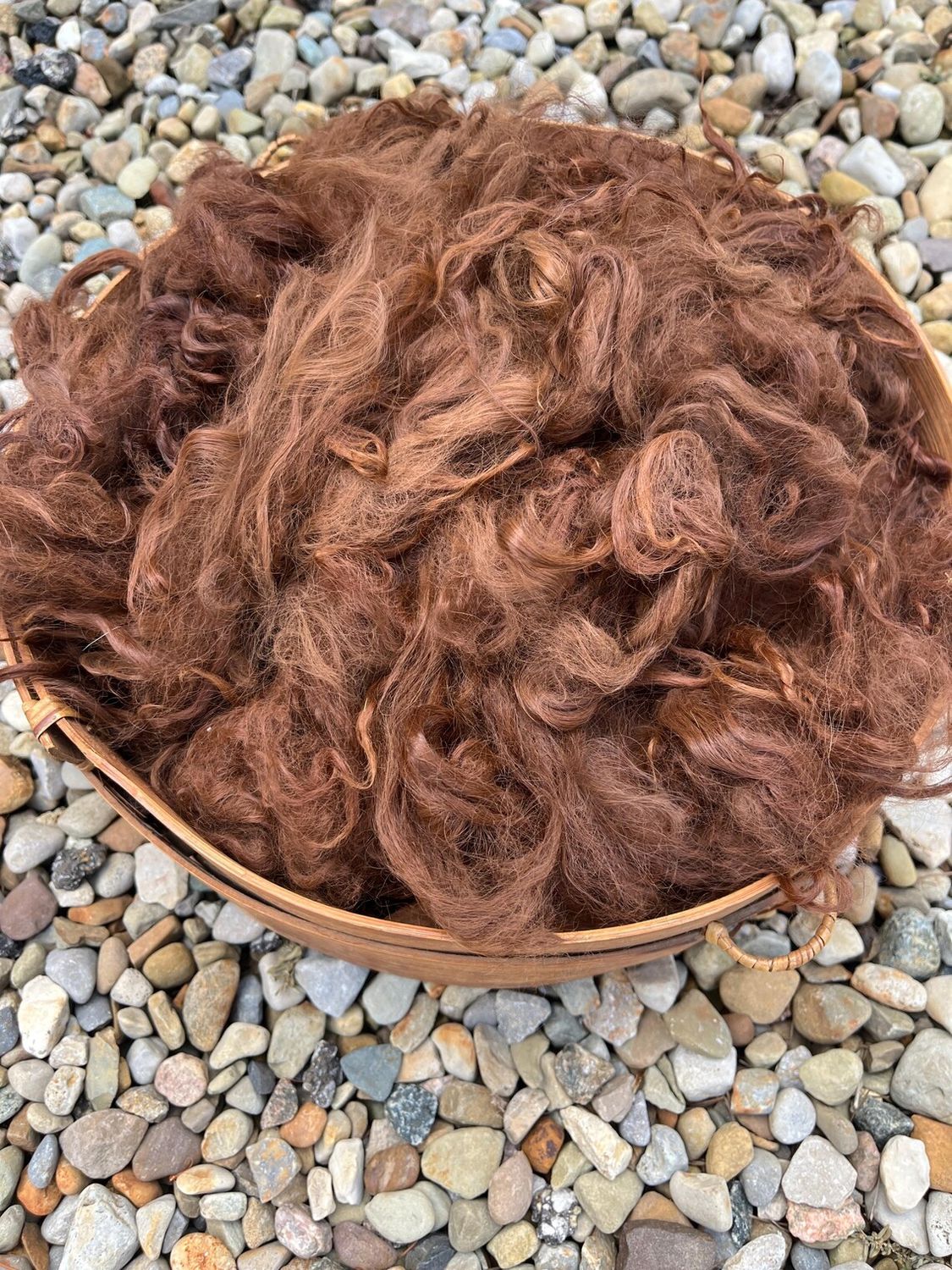 Suri Alpaca Fiber, 6 Inches, Medium Brown, Margo