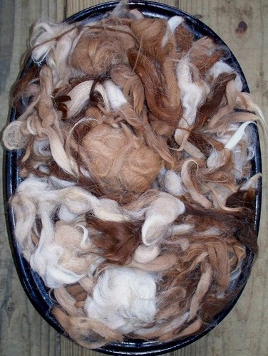 Raw Alpaca Fiber Blend - Natural Colors