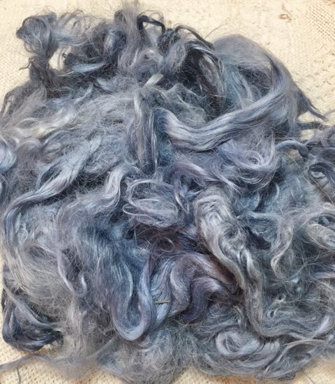 Suri Alpaca Fiber, 5.5 Inches, Sugargum