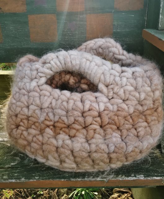 Rug Yarn Crochet Class