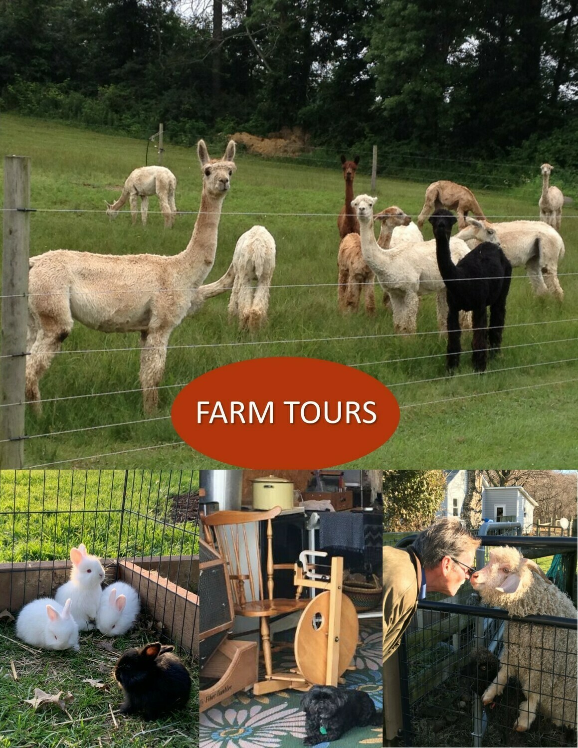 Guided Farm Tours