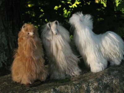 Standing Suri Alpaca - 12"