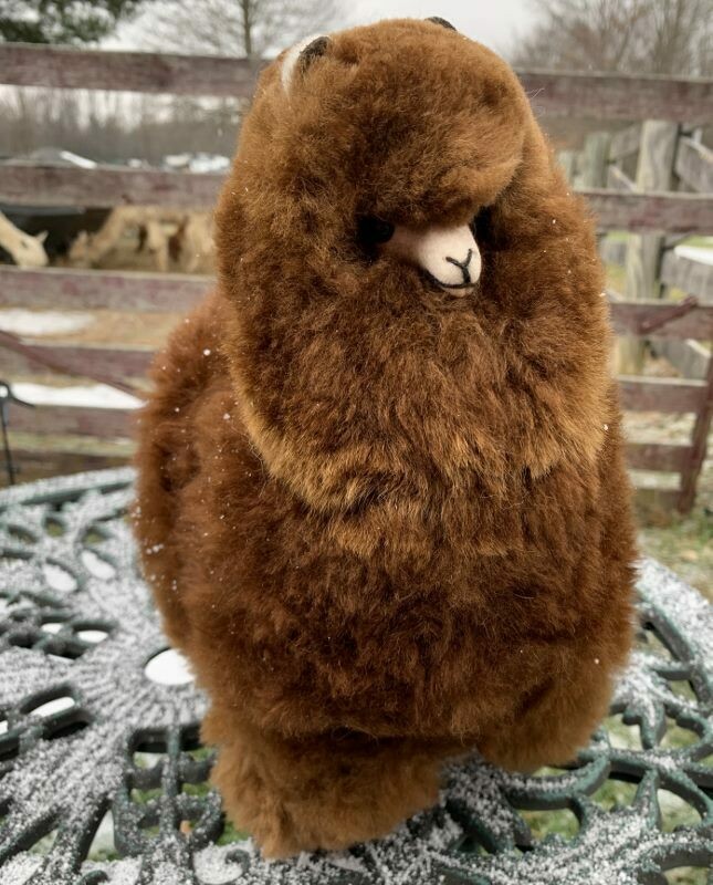 Standing Alpaca - 12", Color: Dark Brown