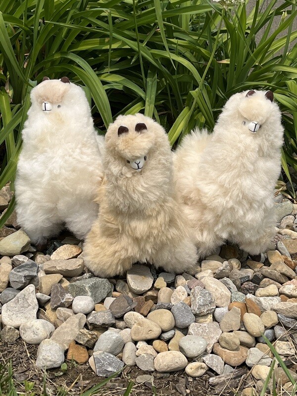 Standing Alpaca - 12"