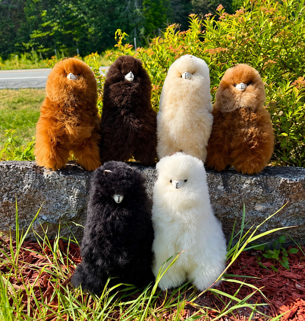 Standing Alpaca - 12"