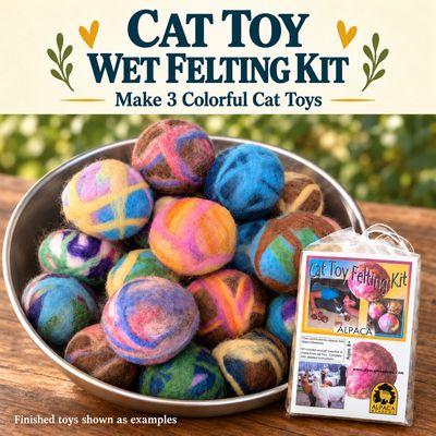 Frog needle felting kit contents including wool roving and felting tools
