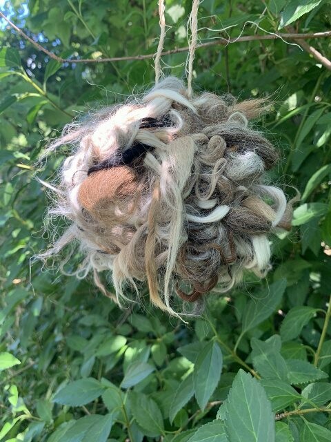 Alpaca Bird Nesting Ball